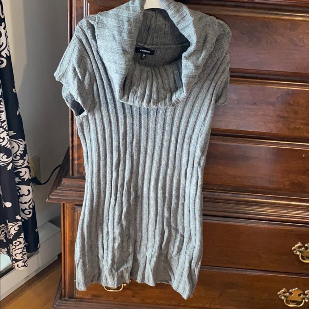 Express Cowl Neck Sweater Dress